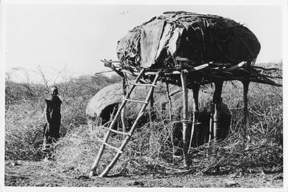 Samburu Stilt Home Kenya Africa Ewaso Ngiro Vintage 9x7 Press Photo