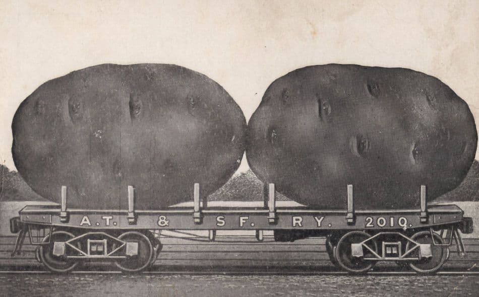 San Fransisco Exaggerated Fruit On Train Railroad USA Old Postcrd