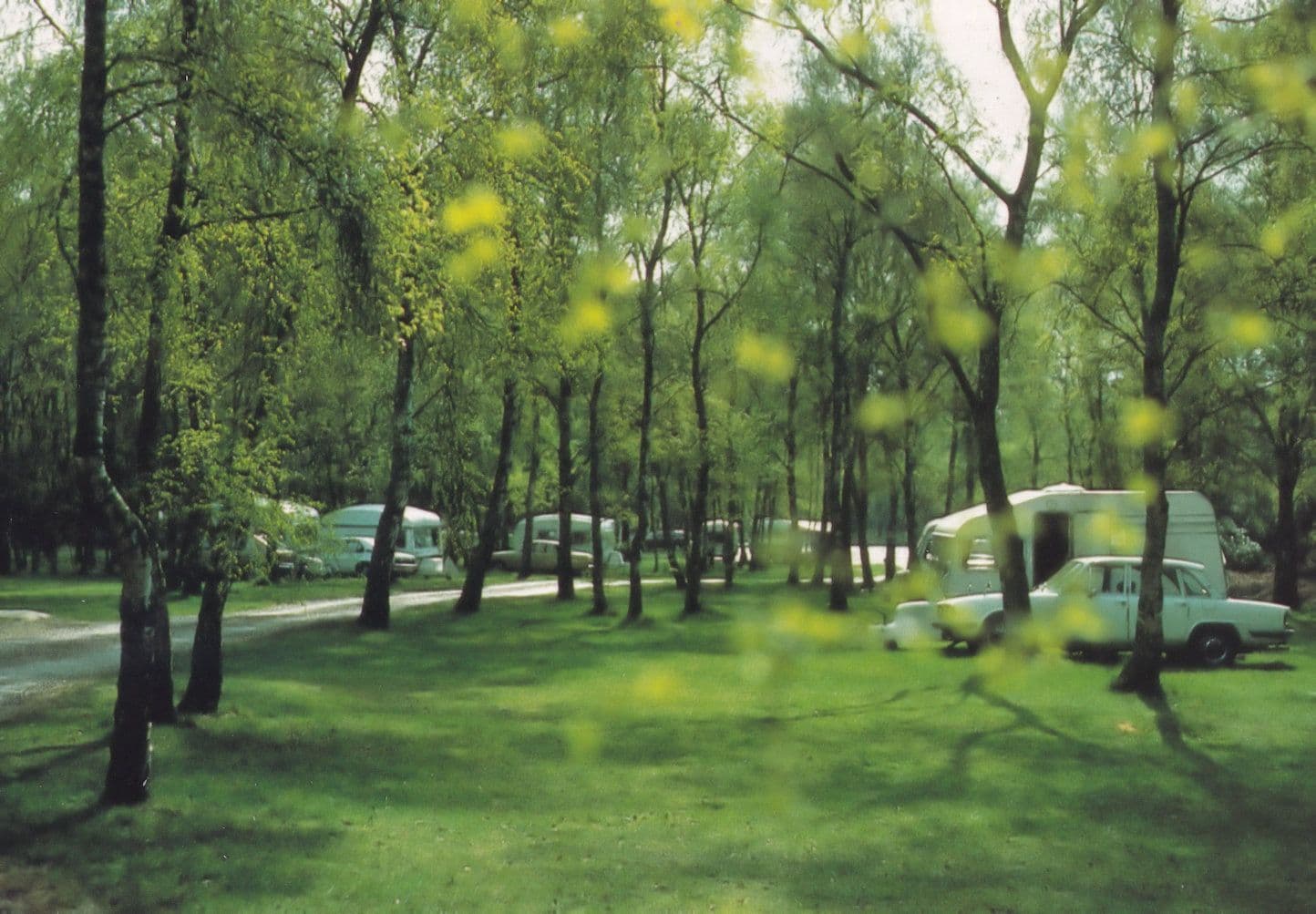 Sandringham Caravan Club Camping Site Norfolk Postcard