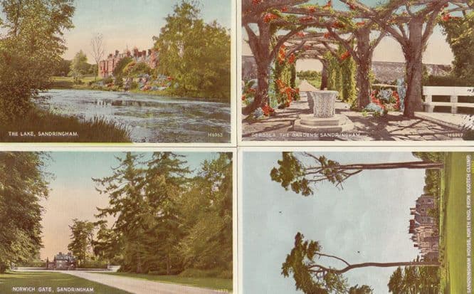 Sandringham from Scotch Clump 4x Valentines Beautiful Vintage Norfolk Postcard s