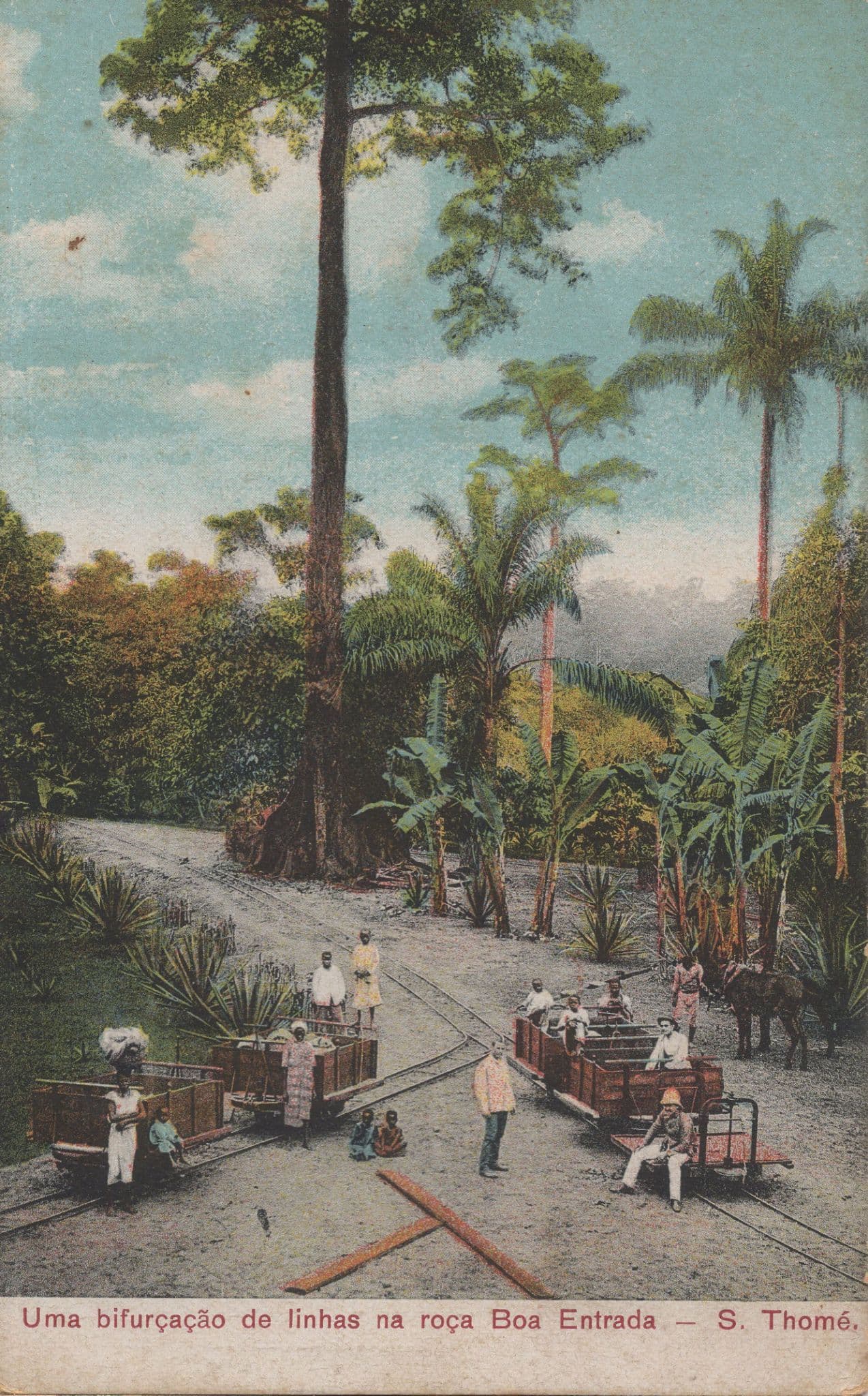 Sao Thome Tome African Boe Entrada Transportation Old Postcard