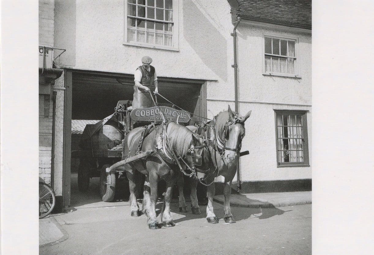 Saracens Head Ipswich Pub Cobbold & Co Horses Award Postcard