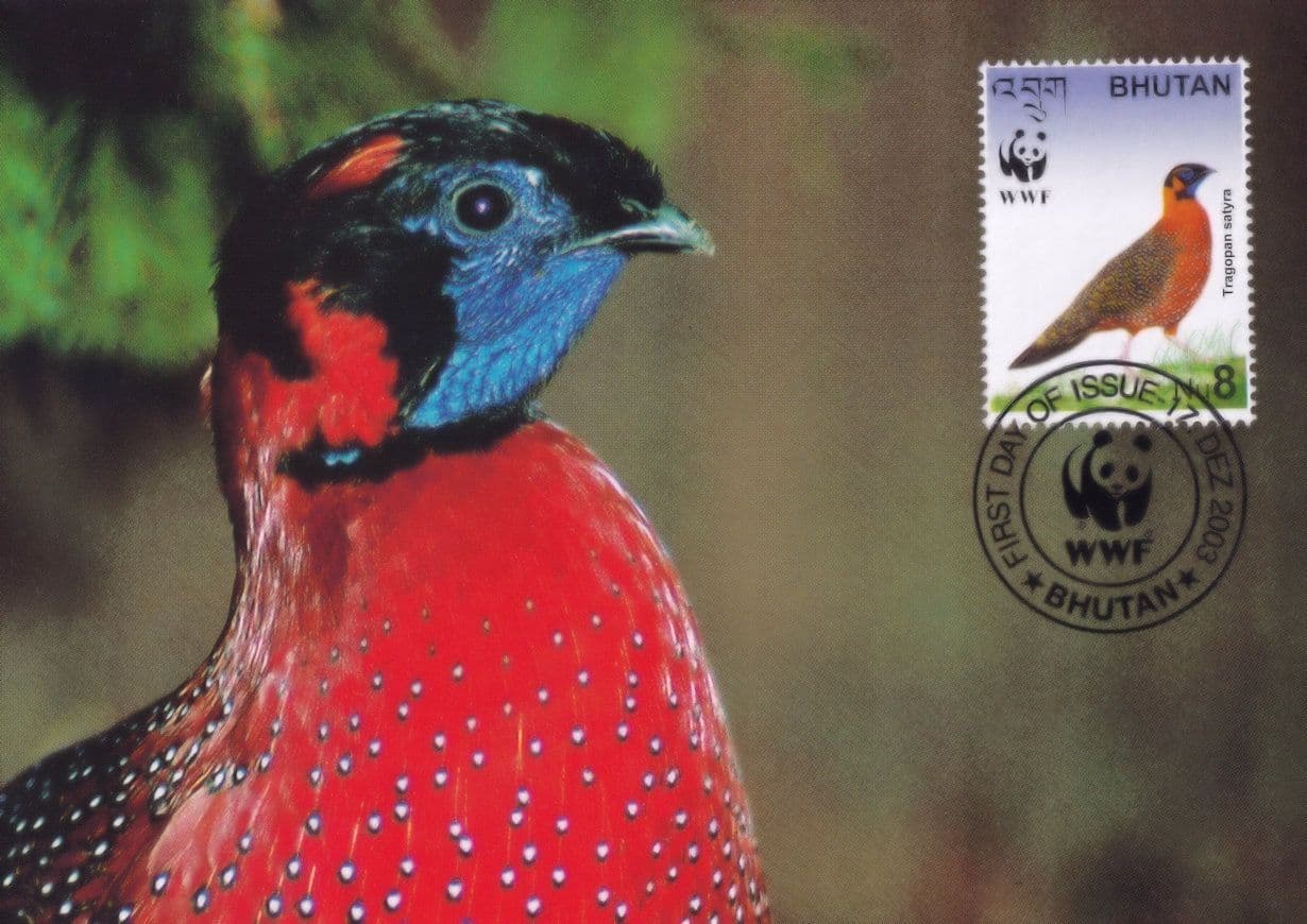 Satyr Trapogan WWF Bhutan Pleasant Bird Stamp Rare FDC Postcard
