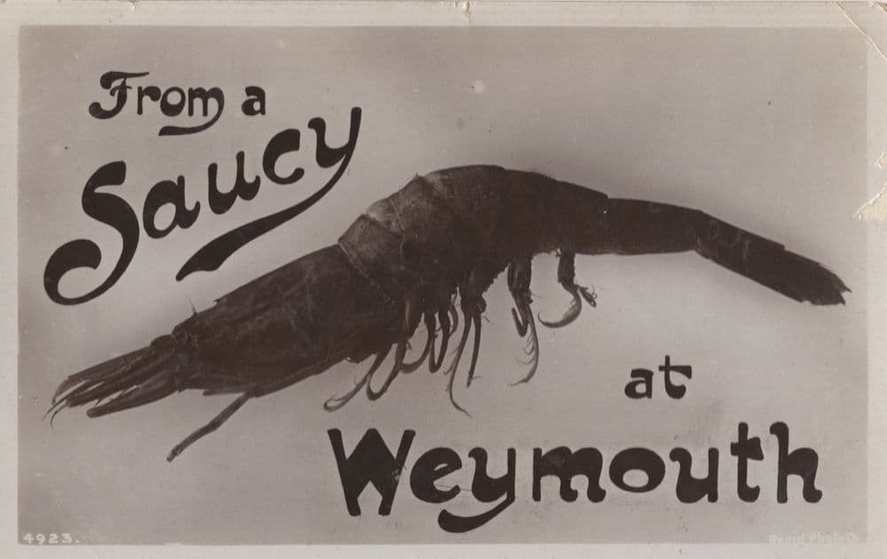 Saucy Weymouth Dorset Antique Fish Lobster Real Photo Postcard