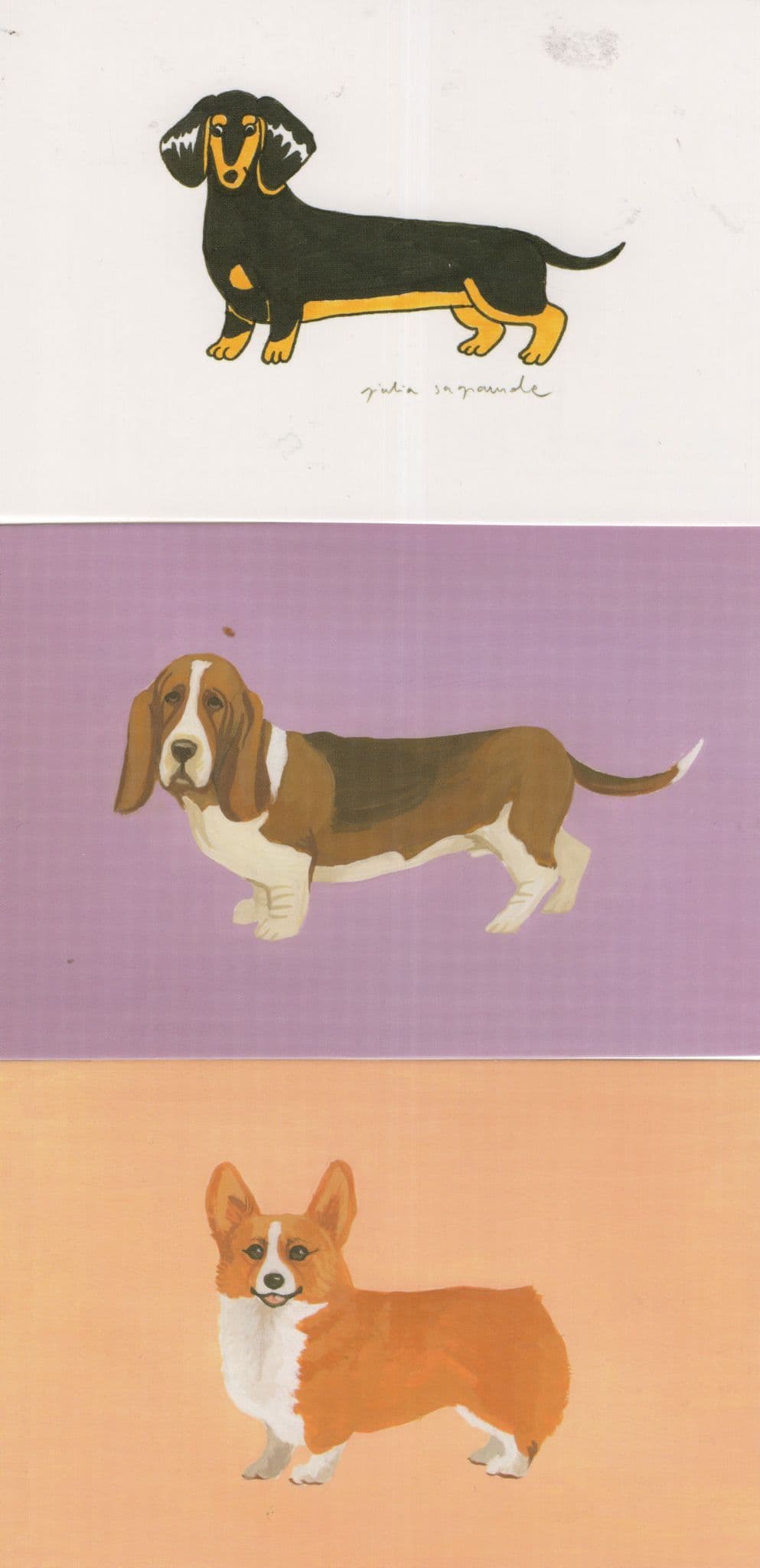 Sausage Dachshund Basset Corgi Hound Dogs 3x Dog Postcard s