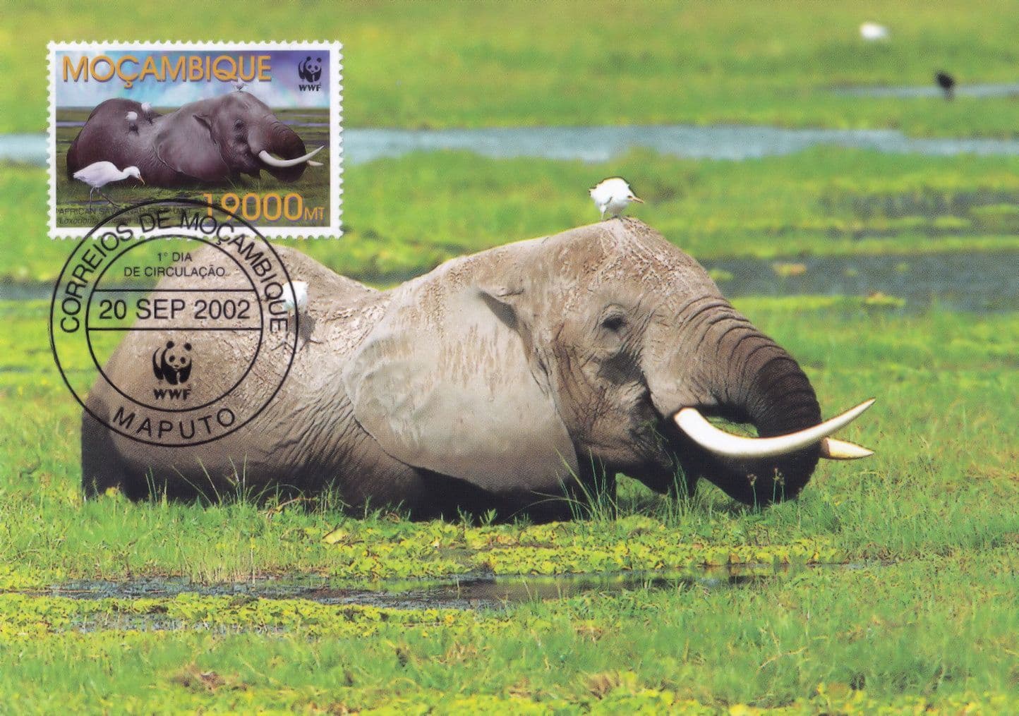 Savannah Elephant Mocambique WWF Limited Stamp First Day Cover Postcard