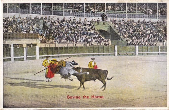 Saving The Horse Antique Matador Bullfighting 1920s Postcard