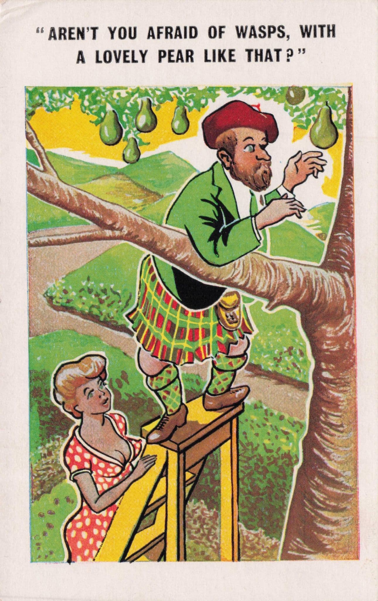 Scared Of Wasps Tree Climbing Vintage Comic Postcard
