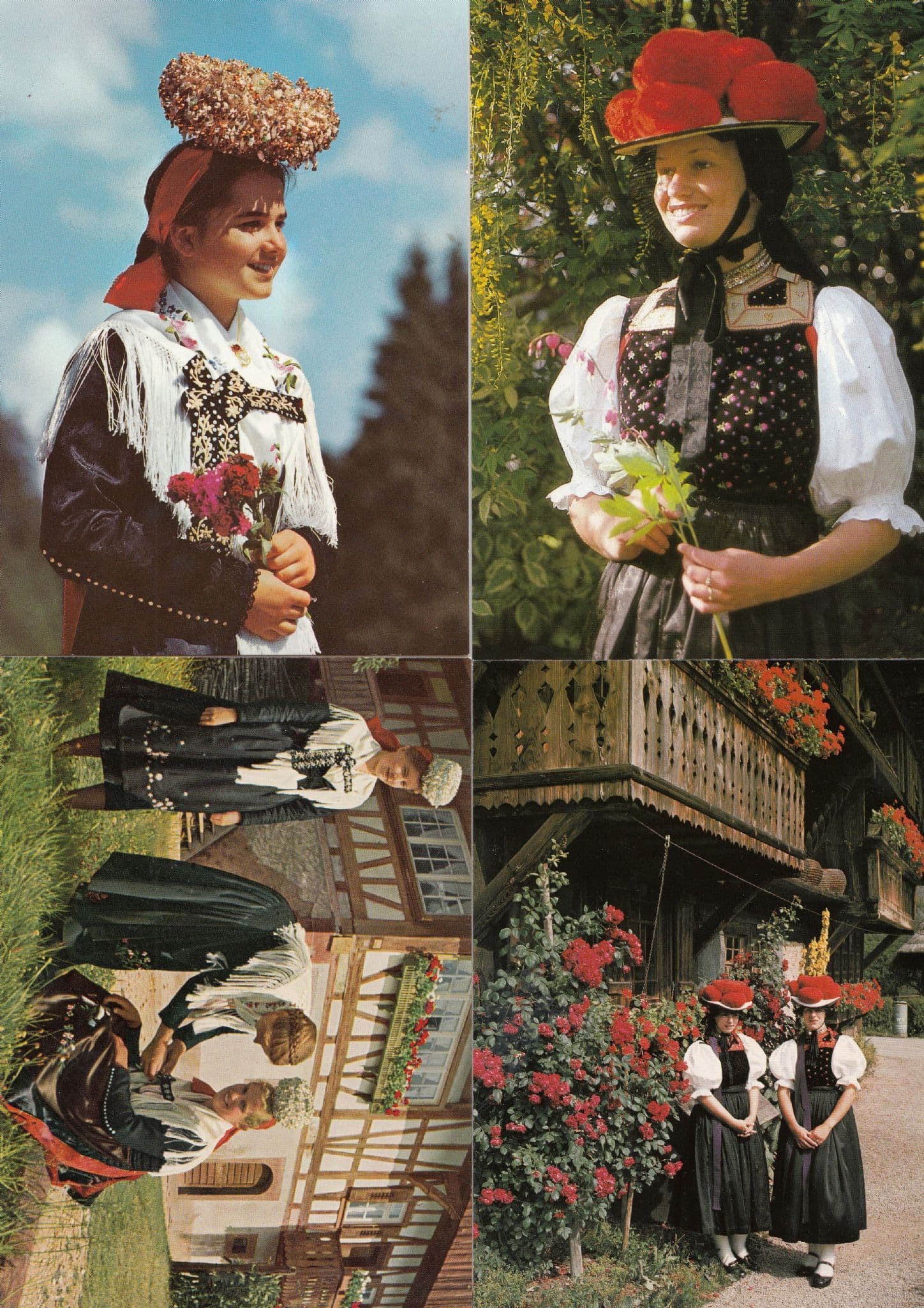 Schwarzwald Grimms Fairy Tales Girl Fashion German 4x Postcard s