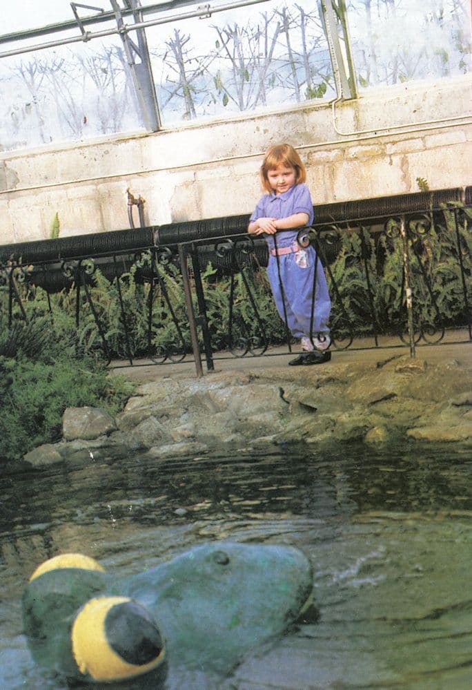 Sea Creature At Duthie Winter Gardens Aberdeen Scottish Postcard