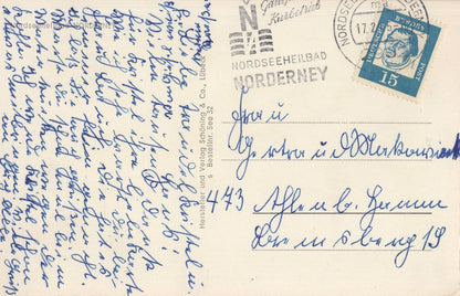 Sealion German Walrus Sealife Antique WW2 Greetings Postcard