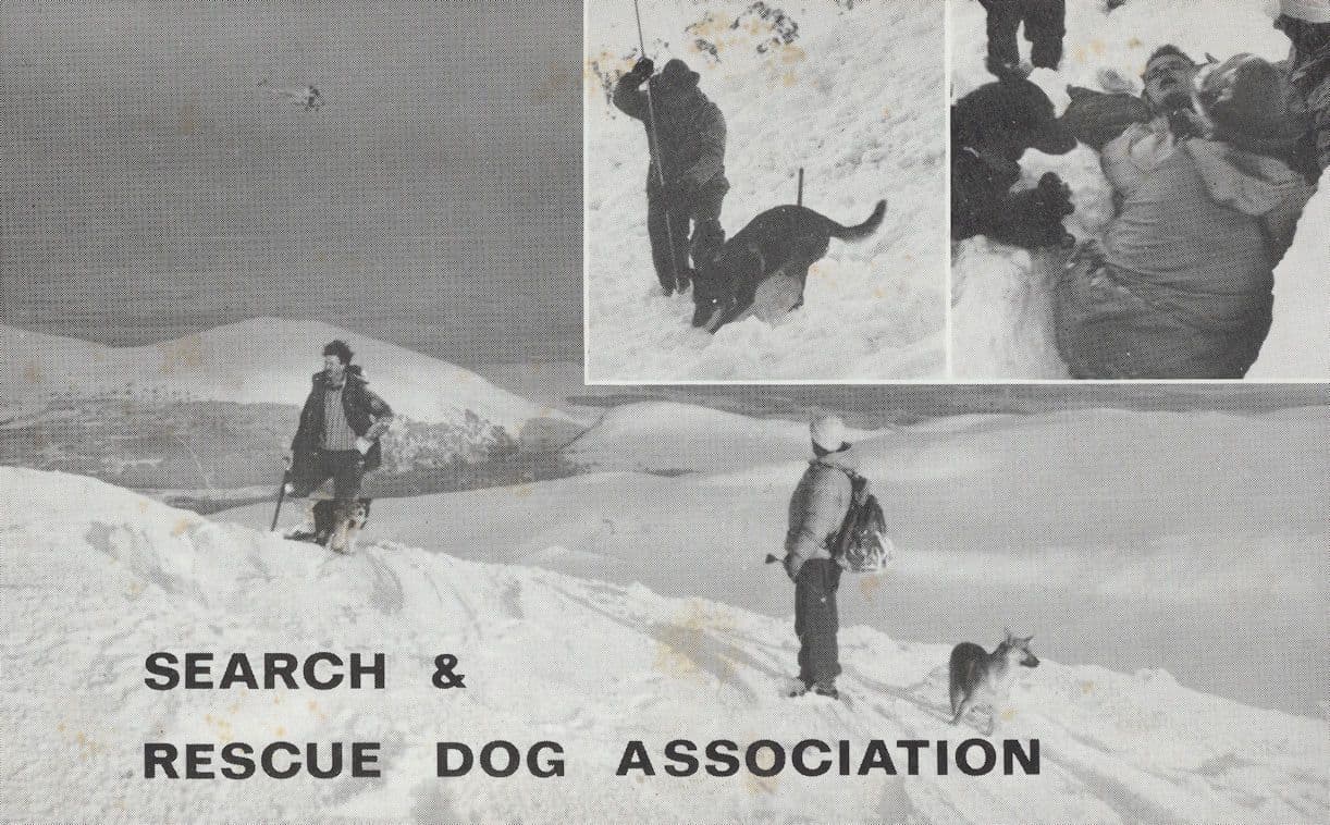 Search & Rescue Dog Operation Oban Scottish Postcard