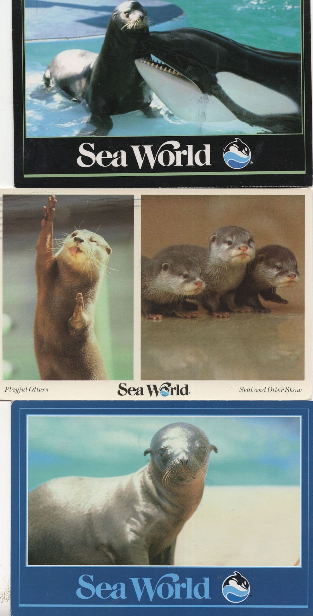 Seaworld California Dolphins Otters 3x USA Postcard s