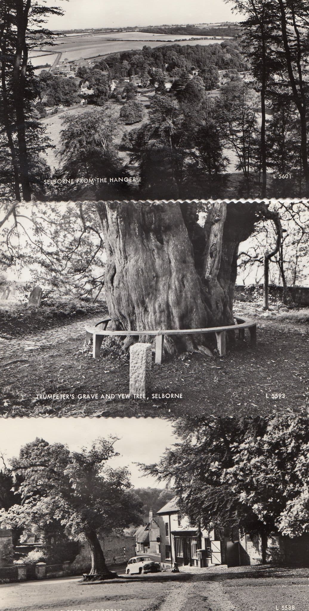 Selborne Trumpeters Grave Plestor Hanger 3x Real Photo Postcard s