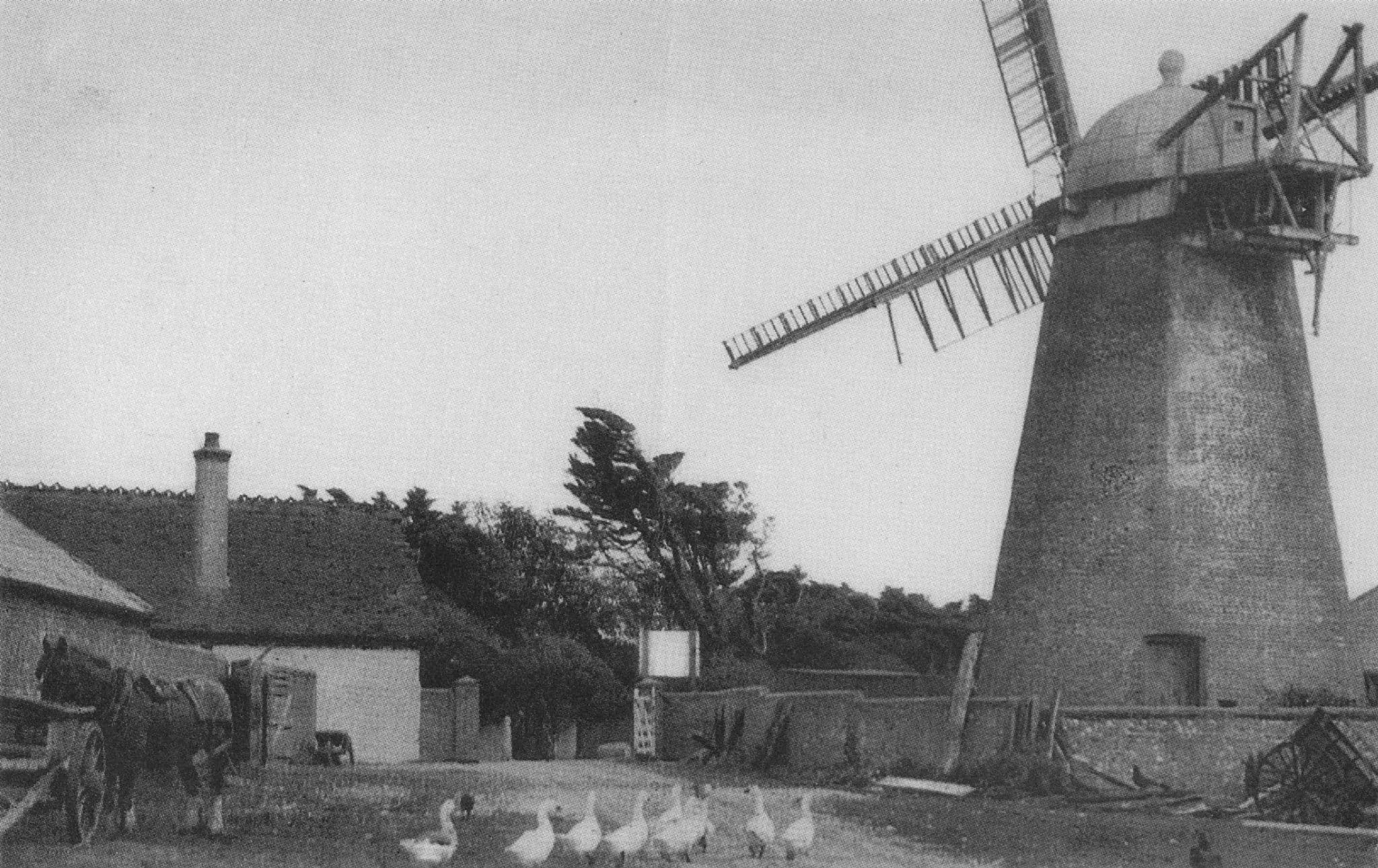 Selsey Mill Medmerry Farm Sussex West Sands Postcard