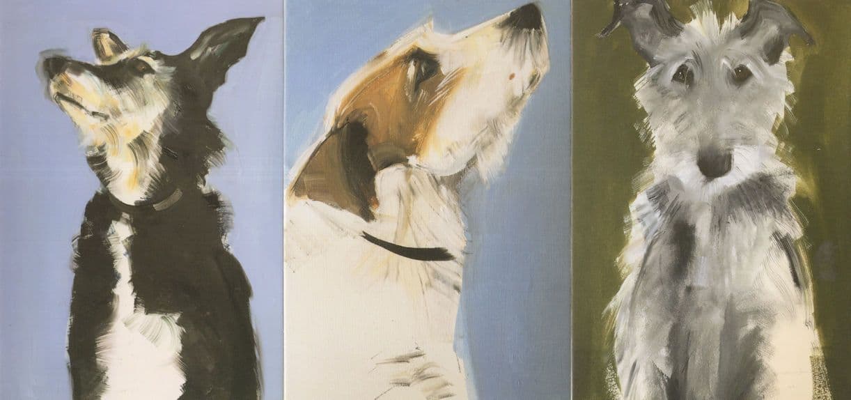Shaggy Fur Dogs 3x Dog Unique Coat Of Hair Painting Postcard s