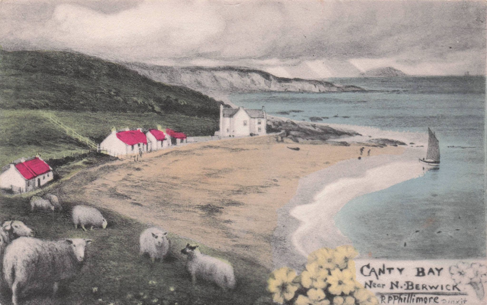 Sheep at Corby Bay North Berwick Old R Phillimore Painting Postcard