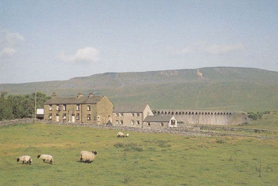 Sheep Grazing at the Station Inn Ribbleshead Spectacular 1992 Postcard