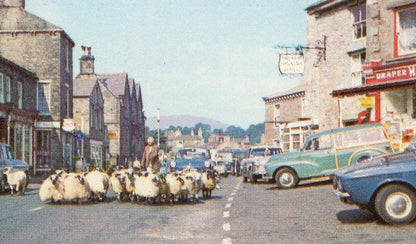 Sheep March Past Drapers at Hawes Yorkshire Postcard