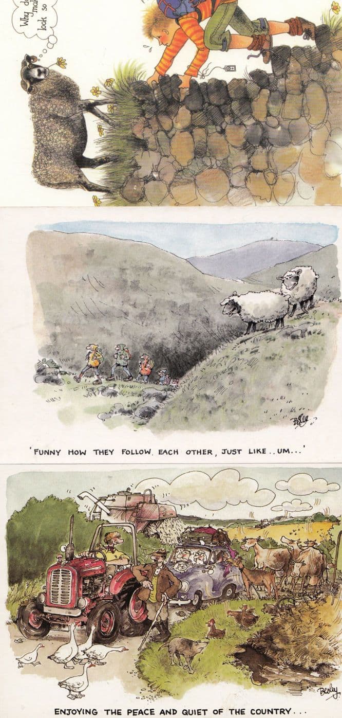 Sheep With Tractor Farmer Mountain Climber Camping 3x Comic Humour Postcard