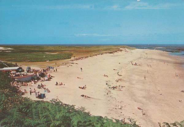 Shell Beach Herm Island Guernsey at Low Time Postcard