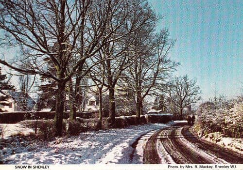 Shenley Snow Winter Christmas Xmas View Hertfordshire Womens Institute Postcard