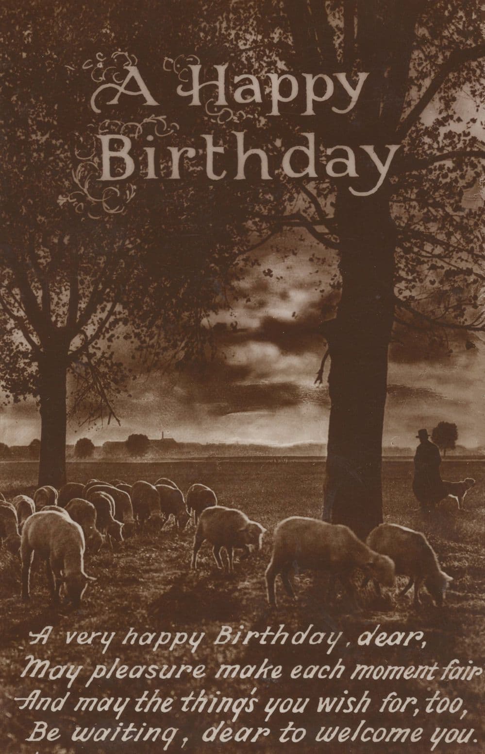 Shepherd Farmer Cattle At Dusk Disaster Weather Real Photo Greetings Postcard