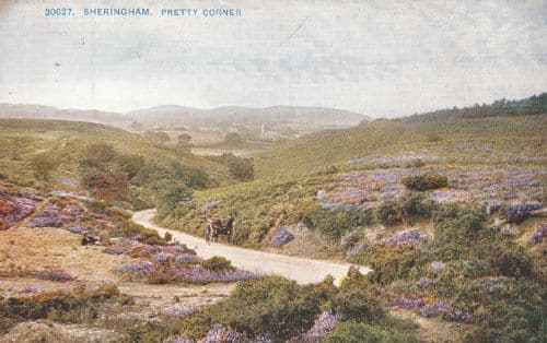 Sheringham Pretty Corner Norfolk Antique Cellesque Postcard