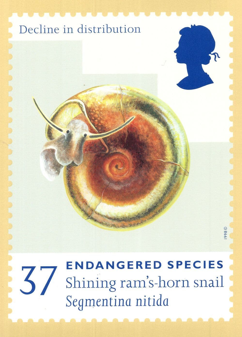 Shining Rams Horn Snail Limited Edition FDC Frank Postcard
