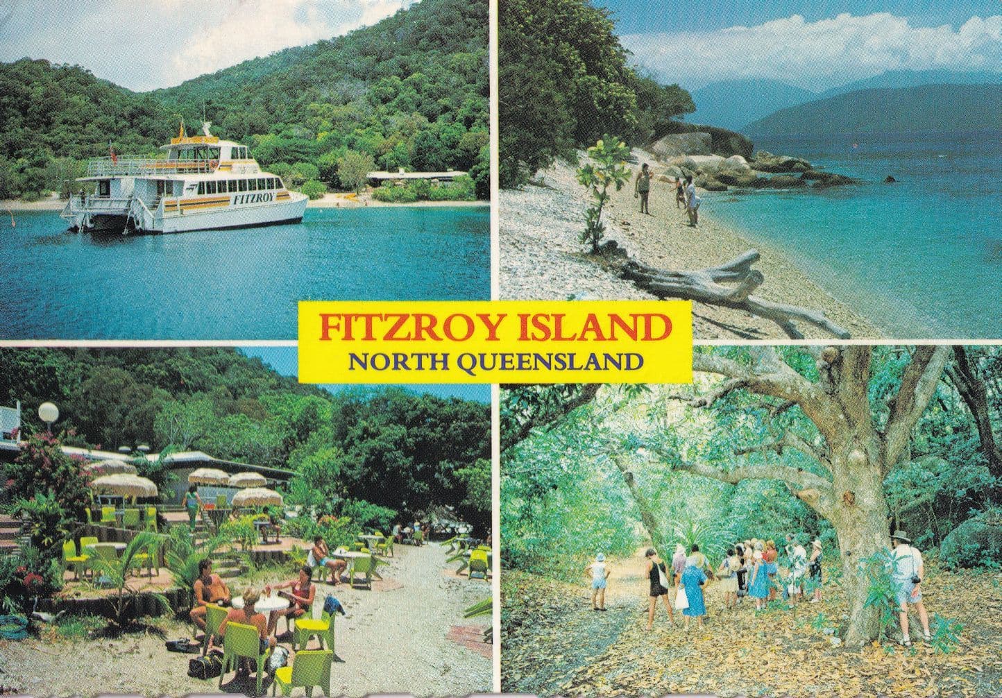 Ship at Fitzroy Island Holiday Tours Rainforest Walks North Queensland Postcard