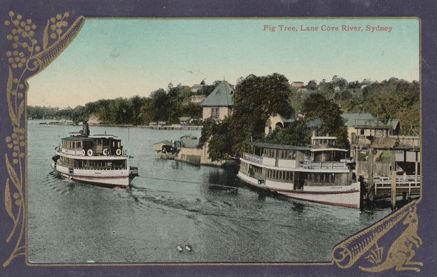 Ships On Cove River Sydney Antique Boat Australia Postcard