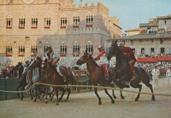 Siena Rodeo Start Of Horse Race Italian Racing Starters Orders Postcard