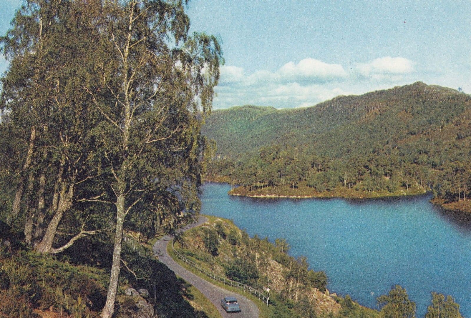 Silver Birches By Loch Beneveian Scottish Postcard
