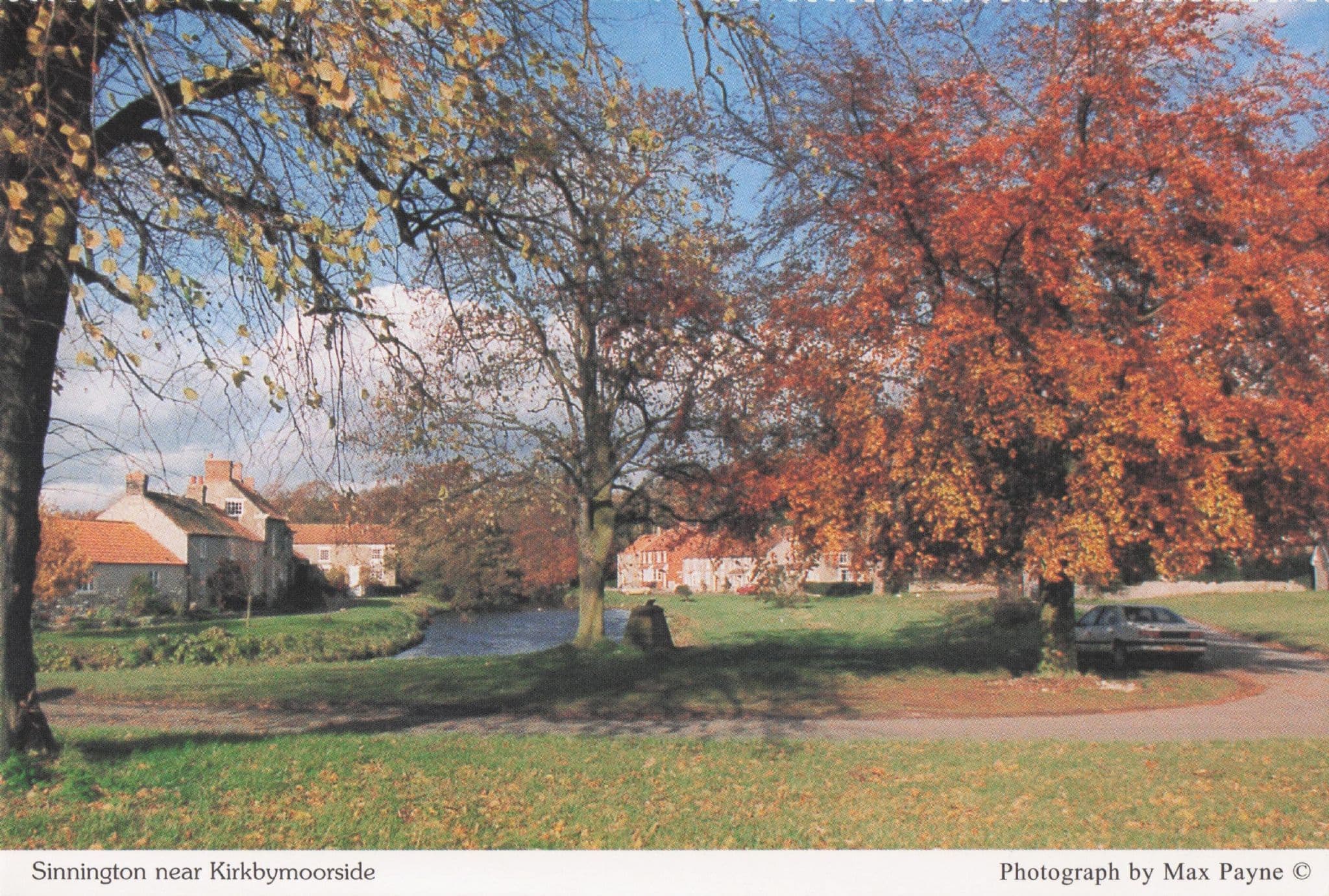 Sinnington Autumn Trees Yorkshire Scarborough Rare Postcard