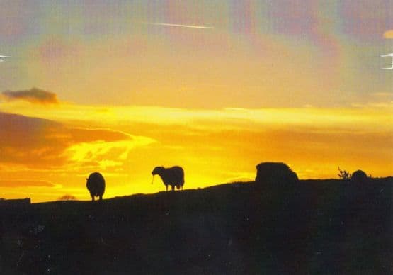 Skipton Sunset Award Photography Winner Postcard