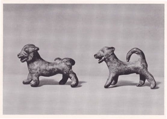 Small Eastern Green Bronze Dog & Panther Sculpture Cambridge Postcard