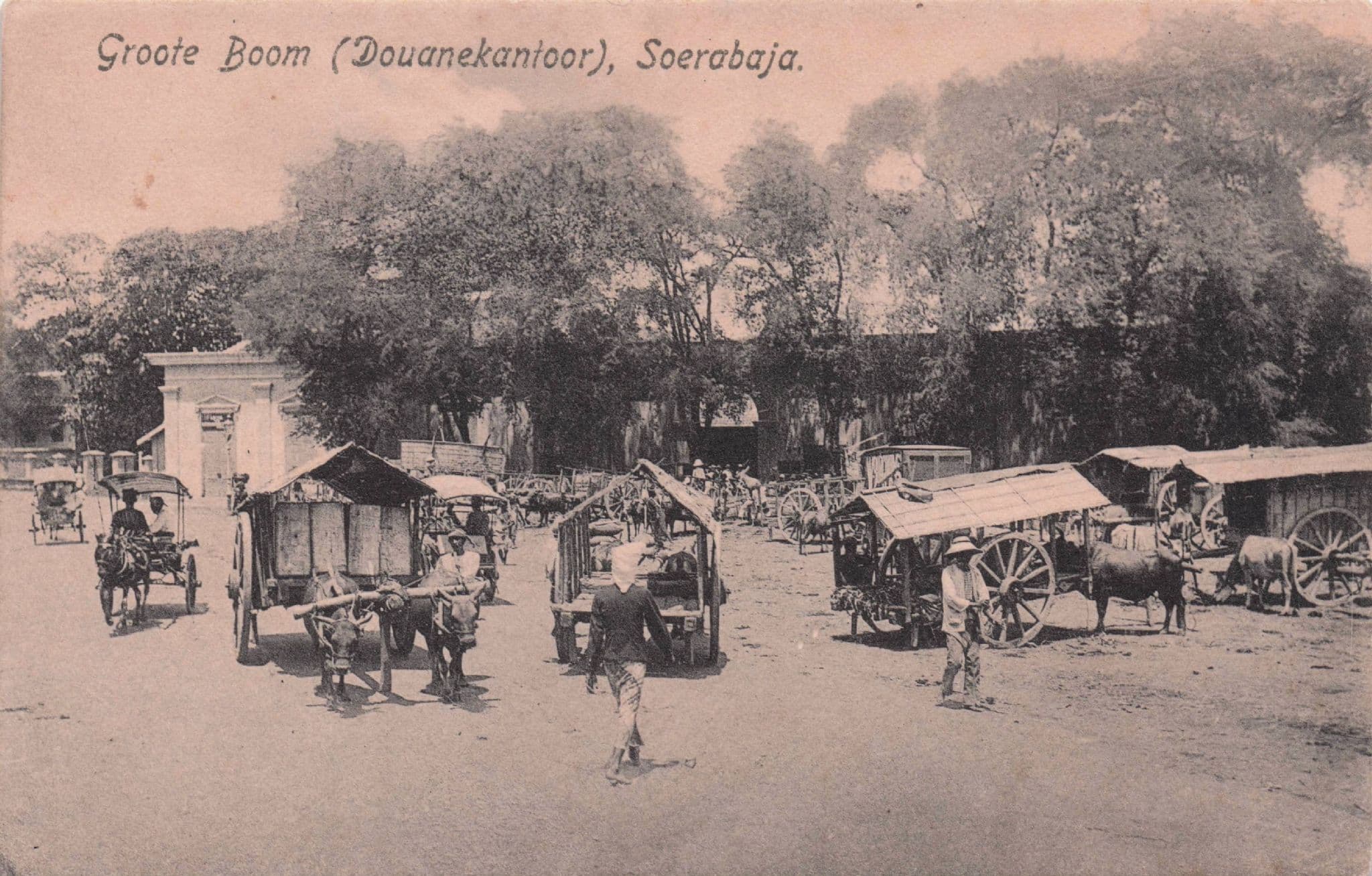 Soerabaia Groote Boom Transport Indonesia Antique Postcard