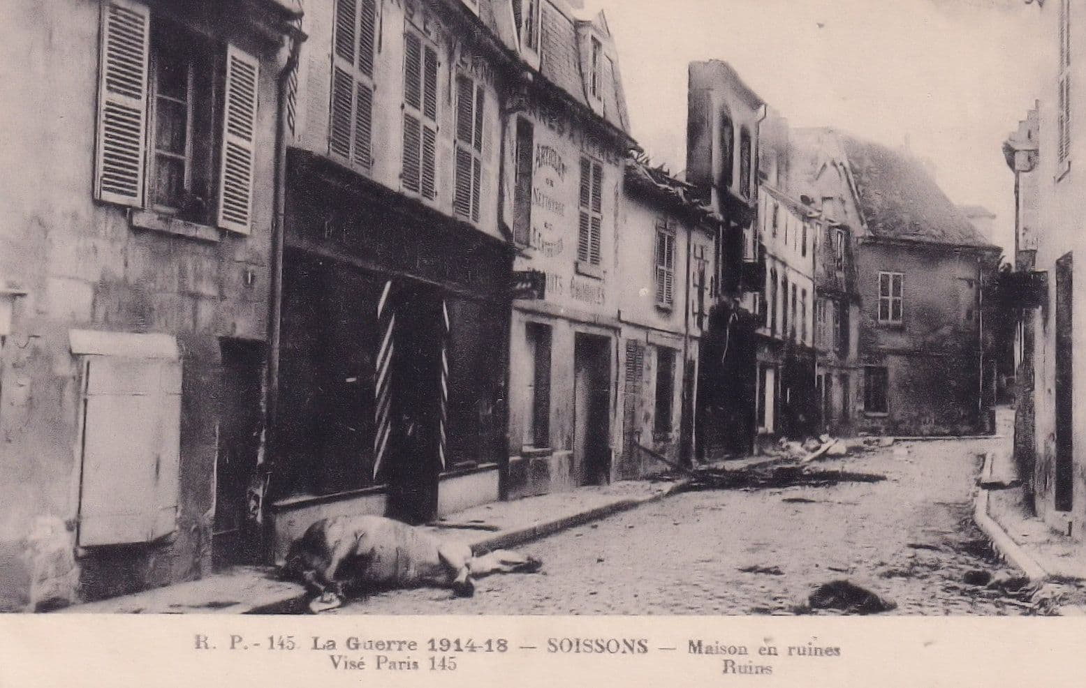 Soissons Bombardement par Allemands Maison En Ruines Horse Killed French War Postcard