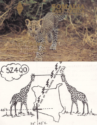 Somalia Guyana Kenya African Wildlife 4x QSL Radio Card s