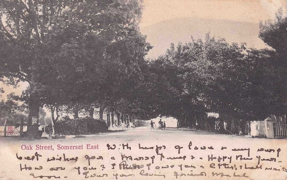 Somerset East Oak Street USA Antique Postcard