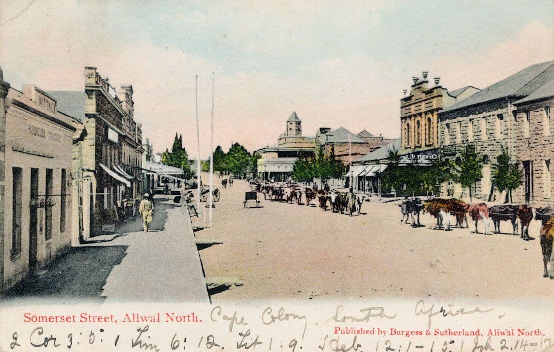 Somerset Street Aliwal North South Africa Local Old Postcard