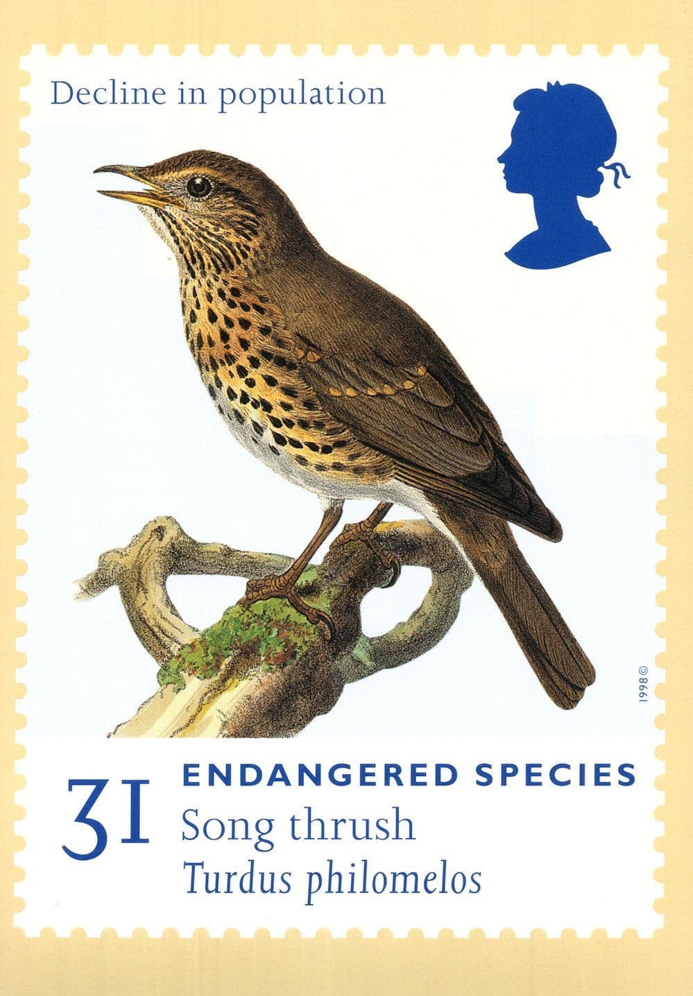 Song Thrush Bird Turdus Philomelos First Day Cover Frank Postcard