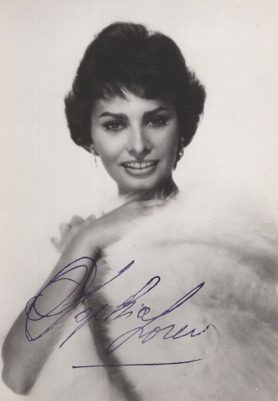 Sophia Loren Rare French Discography Printed Signed 1957 Photo