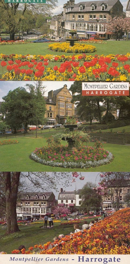 Sothebys Fine Art Painting Auctions Auctioneer York Harrogate Yorkshire Postcard