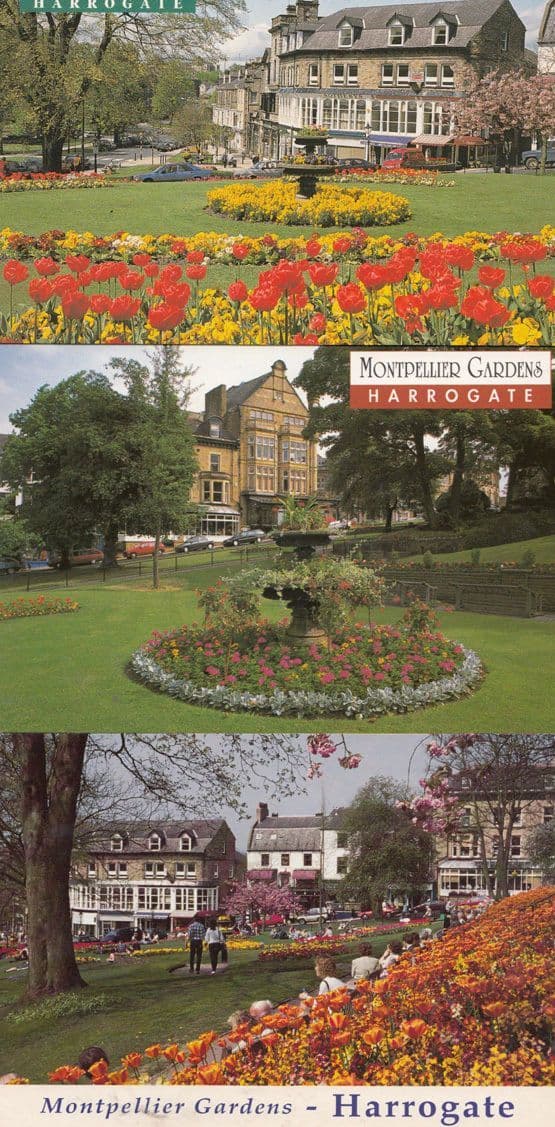 Sothebys Fine Art Painting Auctions Auctioneer York Harrogate Yorkshire Postcard