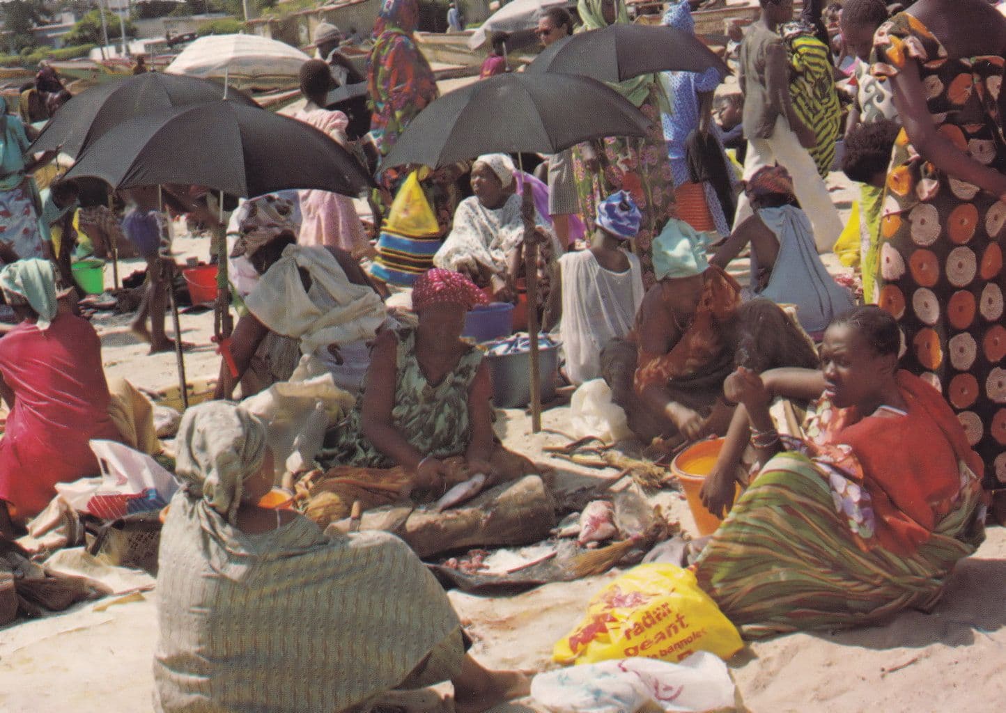 Soumbedioune African Fish Market Postcard