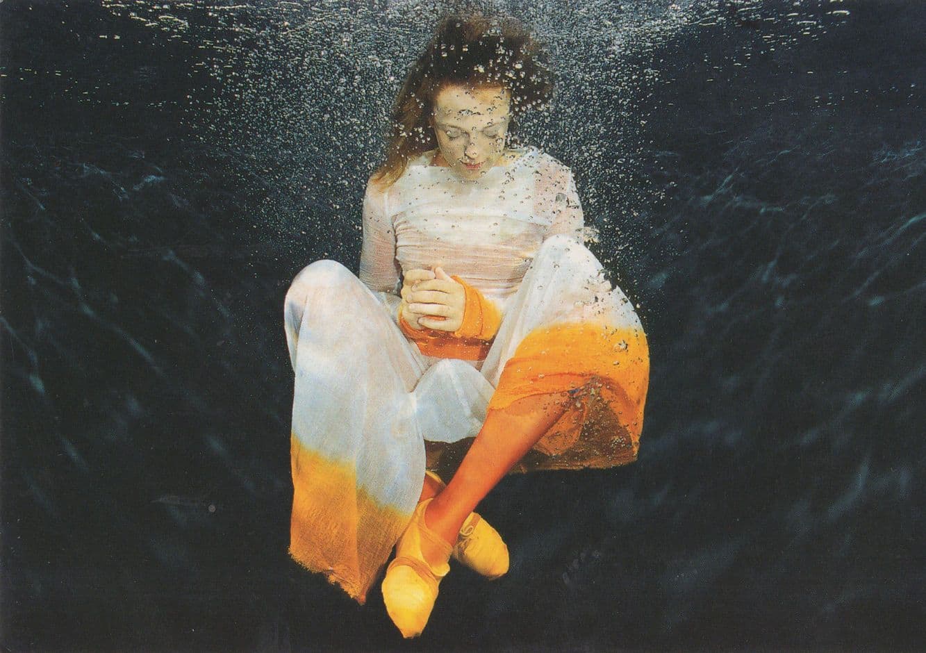 Sound Underwater Travel Journey Of The Senses Postcard
