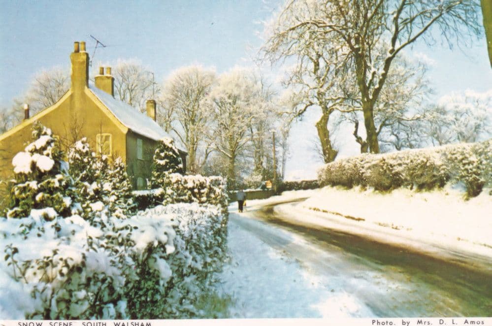 South Walsham in Disaster Snow Weather Norfolk Postcard