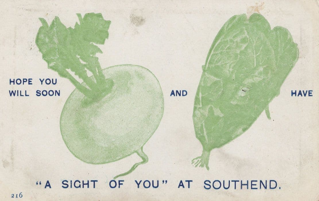 Southend On Sea Lettuces Cabbages Vegetables Comic Postcard
