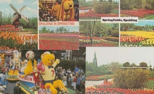 Spalding Dougal of Magic Roundabout Electricity Advertising Festival 4x Postcard